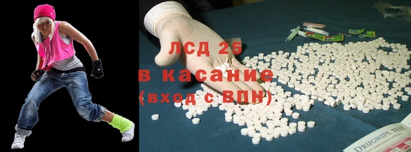 стафф Елизово