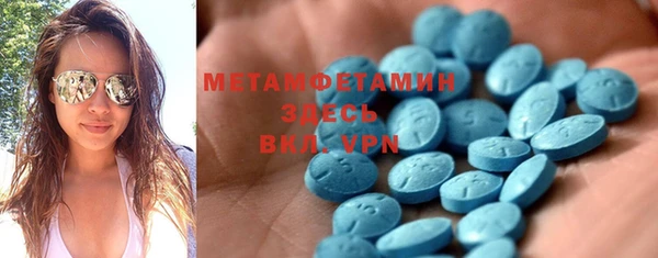 прущие грибы Ельня