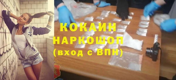 стафф Елизово