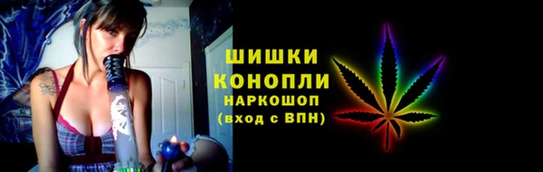 дживик Елабуга
