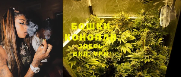 бошки Дмитров