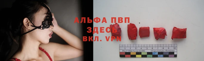 прущие грибы Ельня