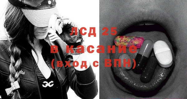 прущие грибы Ельня