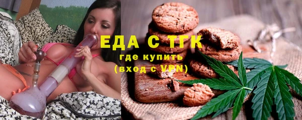 прущие грибы Ельня