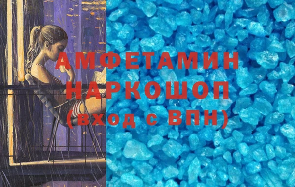 прущие грибы Ельня