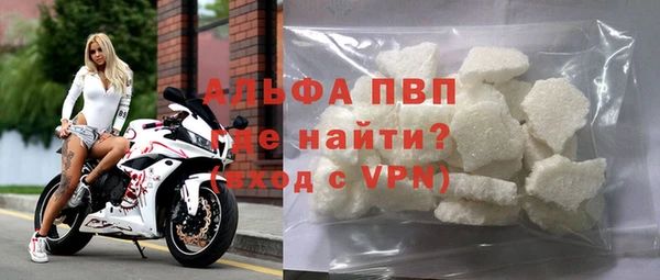 стафф Елизово