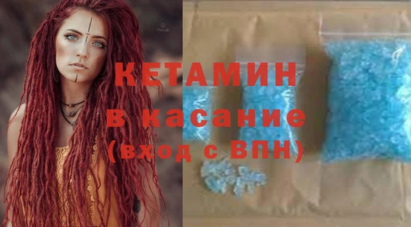 прущие грибы Ельня