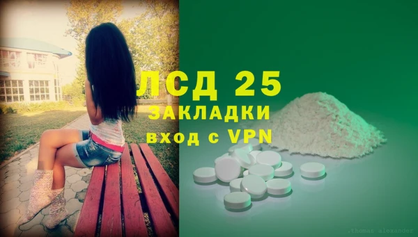дживик Елабуга